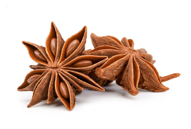 Laotian Star Anise (লাওটিয়ান স্টার অ্যানিস)