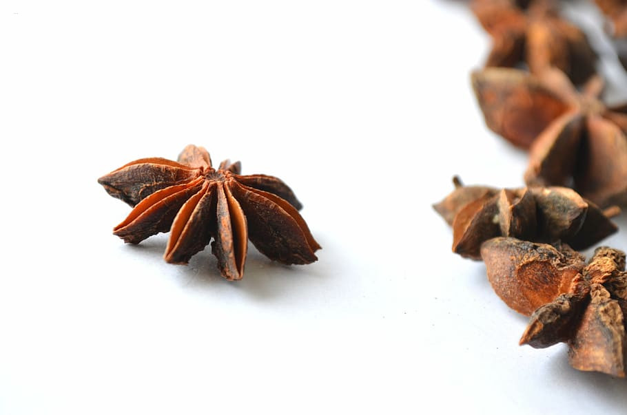 Chinese Star Anise (চাইনিজ ষ্টার এনিস)