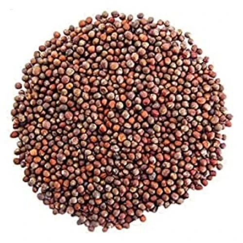 Purple Cauliflower Seeds