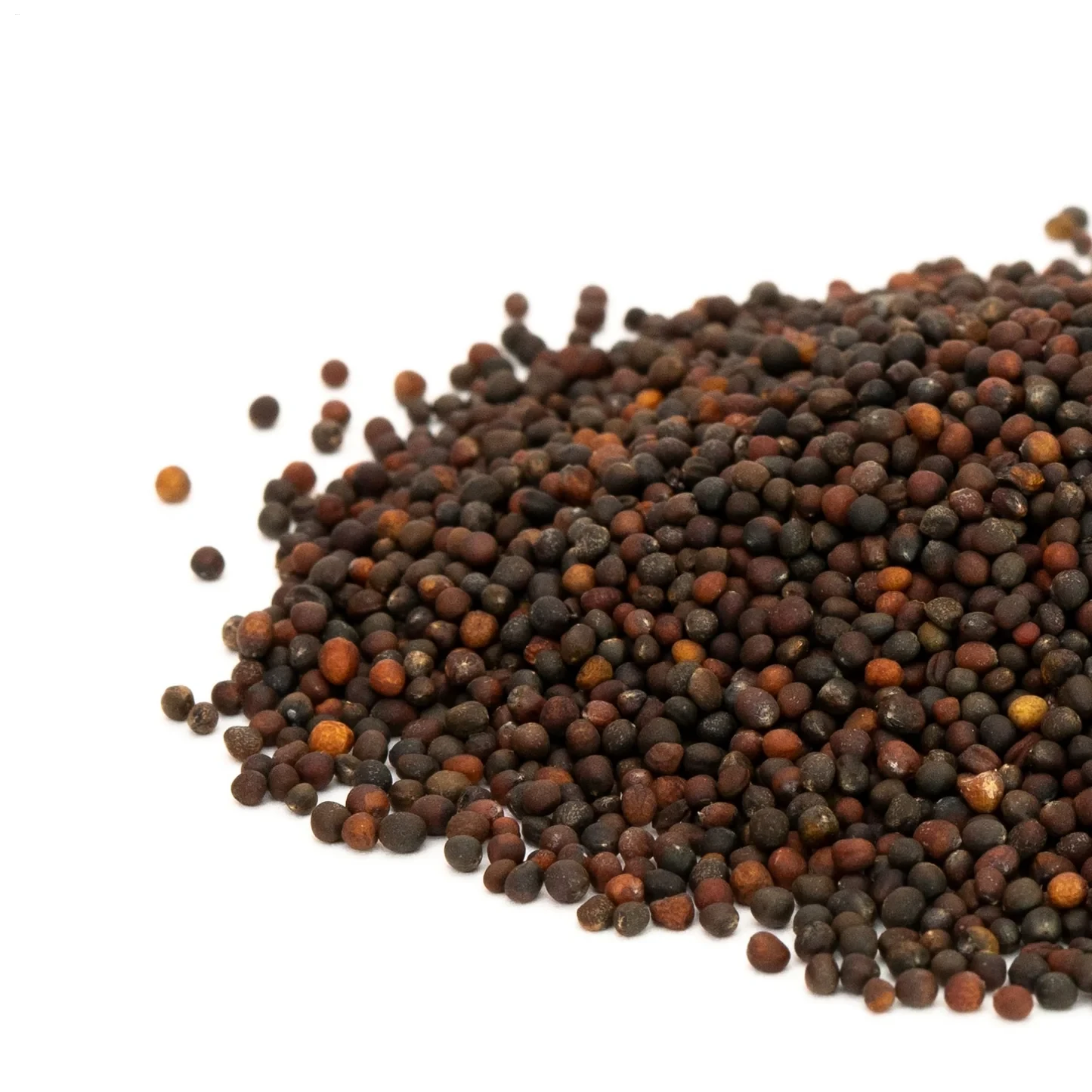 Golden Acre Cabbage Seeds