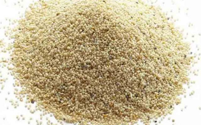 Blue Poppy Seeds (নীল পোস্ত দানা)