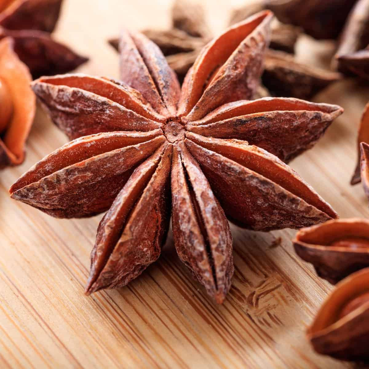 Cambodian Star Anise (কম্বোডিয়ান স্টার অ্যানিস)