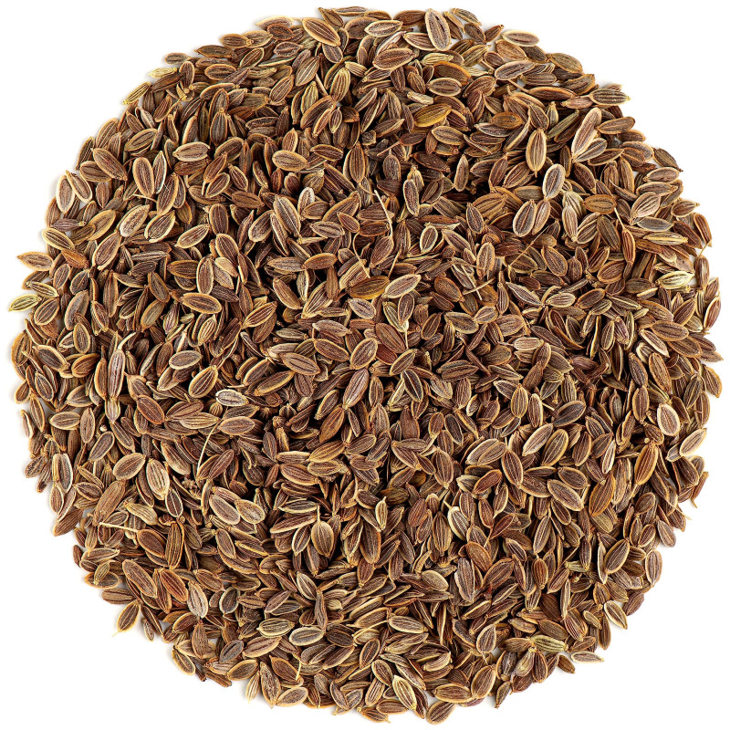 Dill Seeds (শুলফা বীজ)