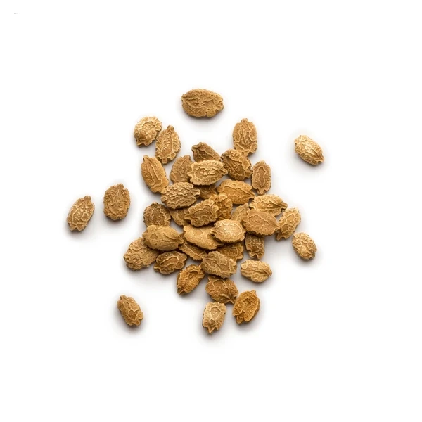 Long Bitter Gourd Seeds (লম্বা করলার বীজ)