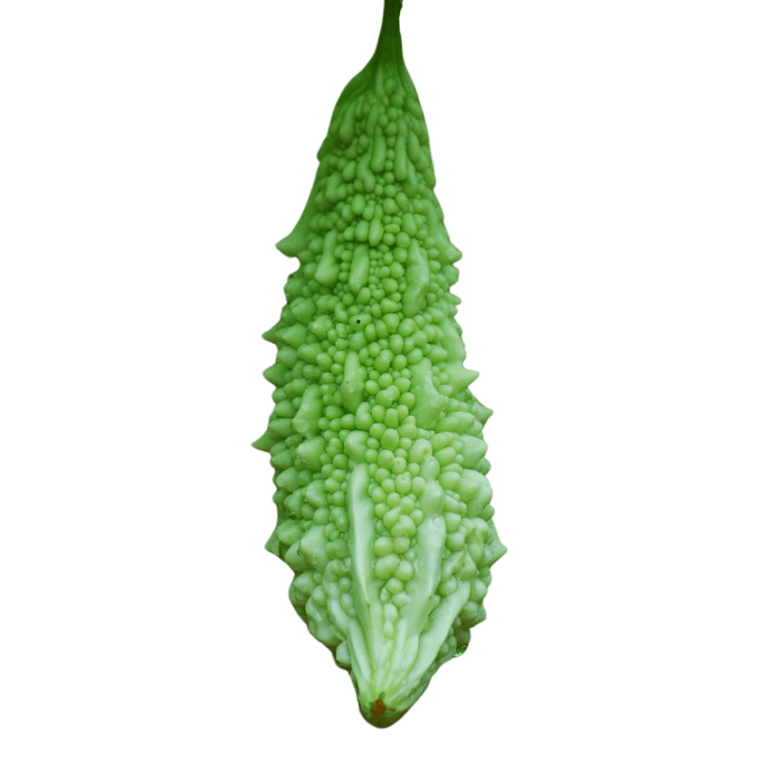 Chinese Bitter Gourd  Seeds (চীনা করলার বীজ)