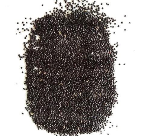 Red Cardinal Spinach Seeds