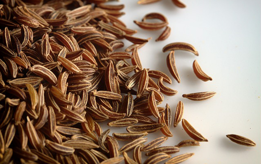 Moroccan Caraway Seeds (মরোক্কান জিরা)
