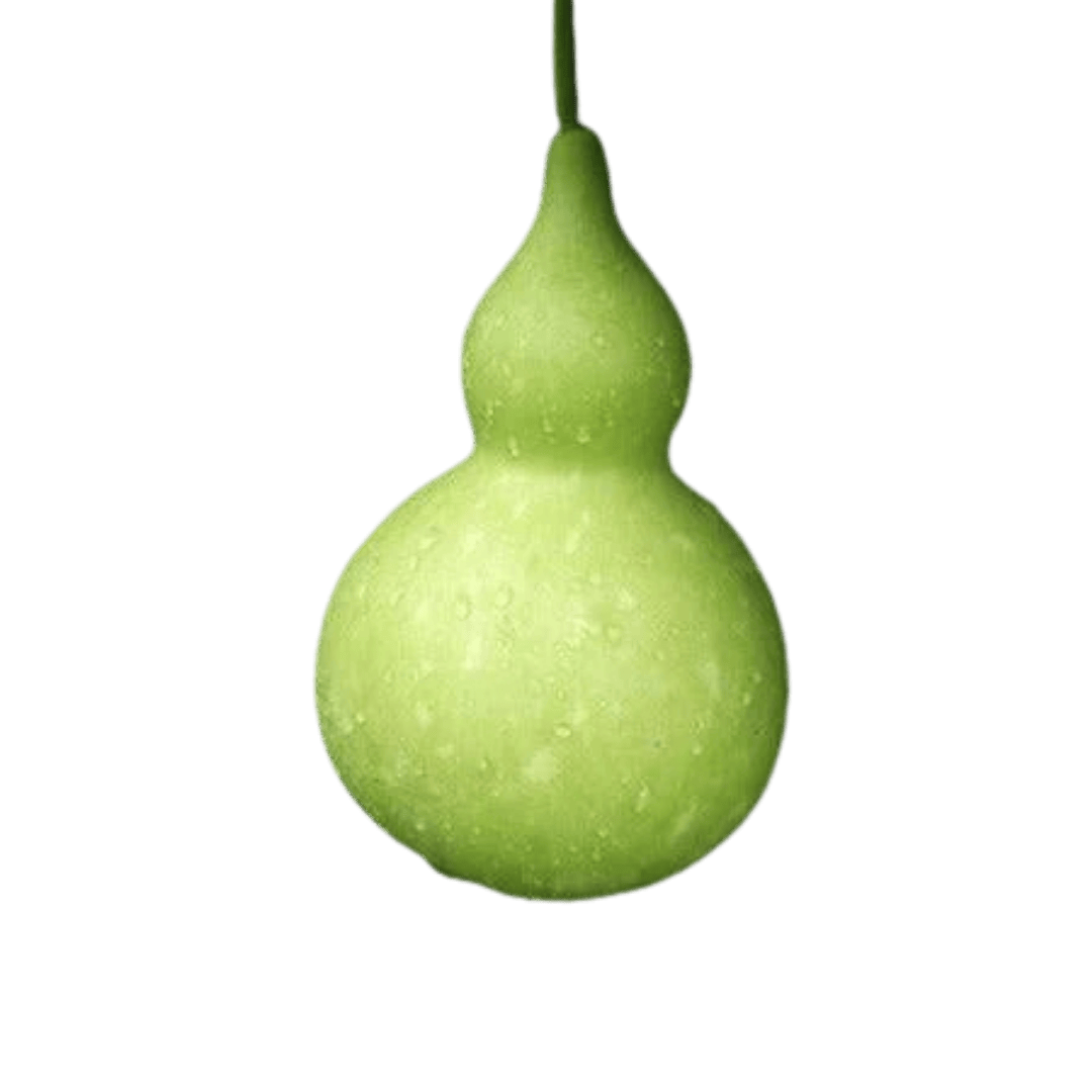 Chinese Bottle Gourd Seeds (চাইনিজ বোতলজাত লাউ বীজ)