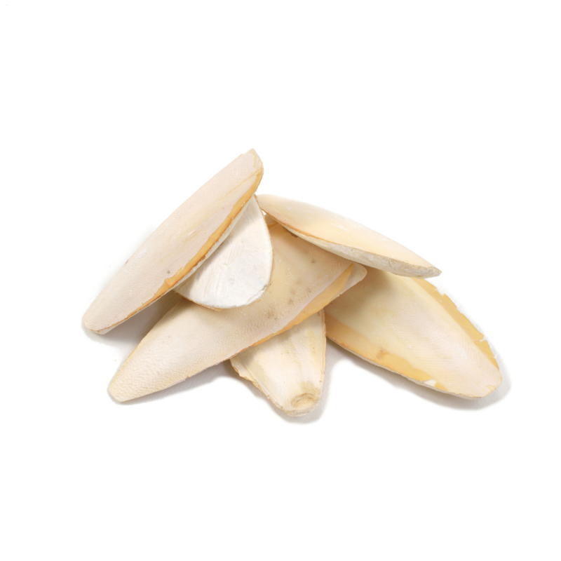 Local Cuttel Fish Bone 100 gm