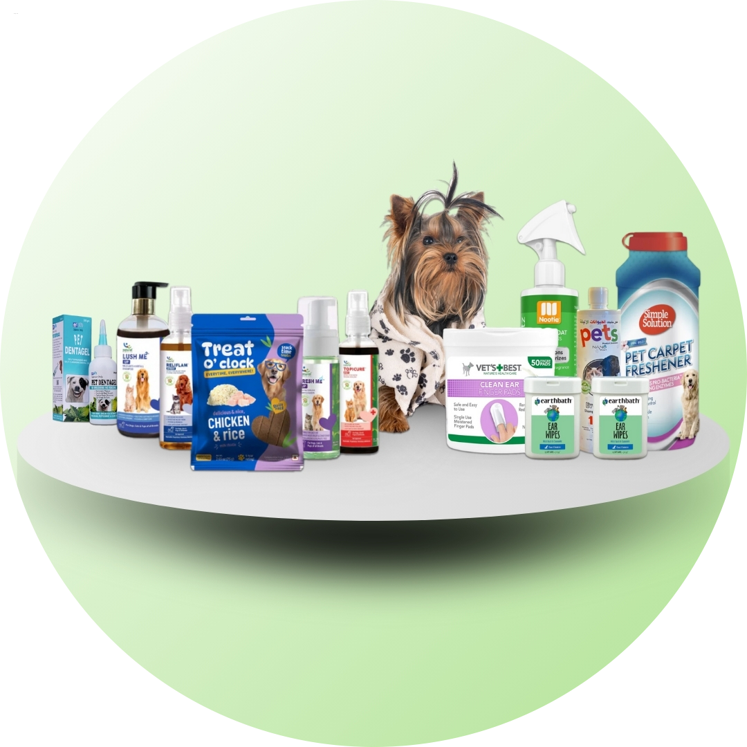 Pet Care & Health (পোষা প্রাণীর যত্ন ও স্বাস্থ্য)