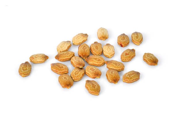 F1 hybrid Bitter Gourd Seeds (F1 হাইব্রিড করলার বীজ)