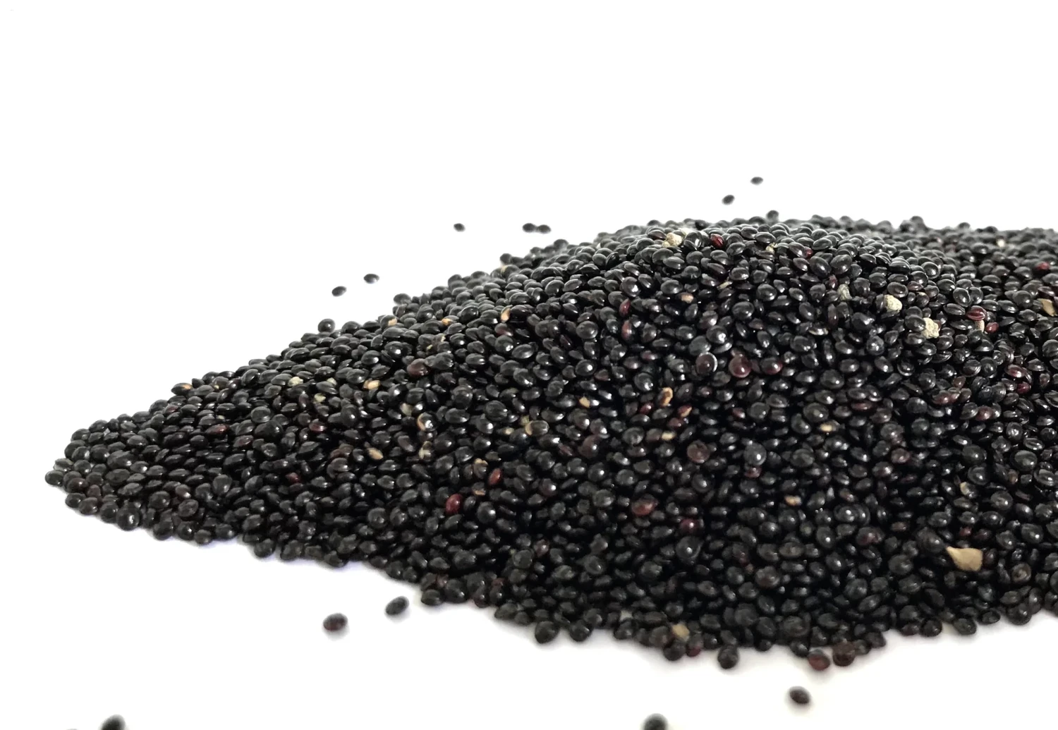 New Zealand Spinach Seeds