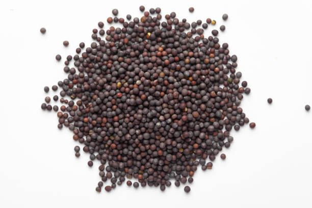 Black Mustard Seeds (কালো সরিষা)