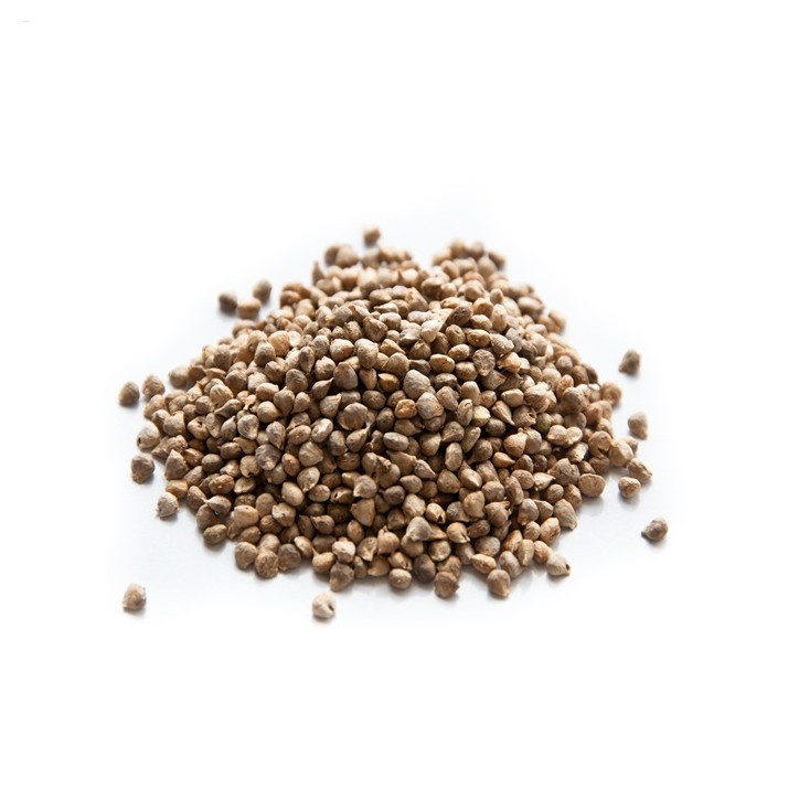 Giant Noble Spinach Seeds