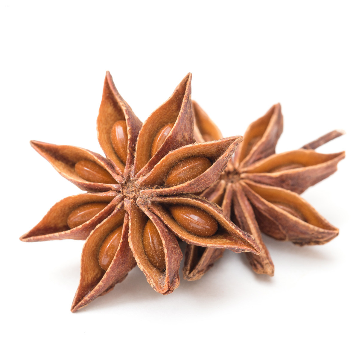 Filipino Star Anise (ফিলিপিনো স্টার অ্যানিস)