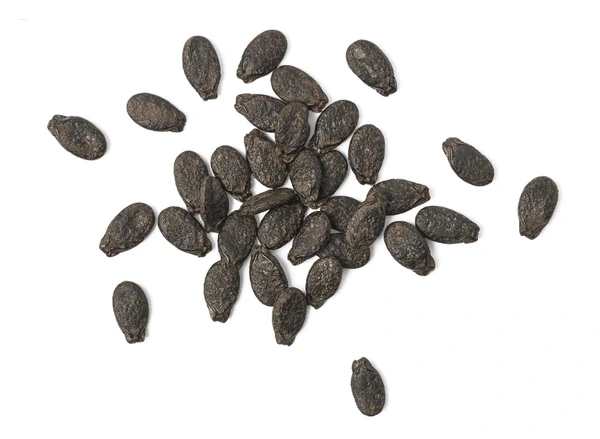 African Ridge Gourd Seeds (আফ্রিকান লাউ বীজ )