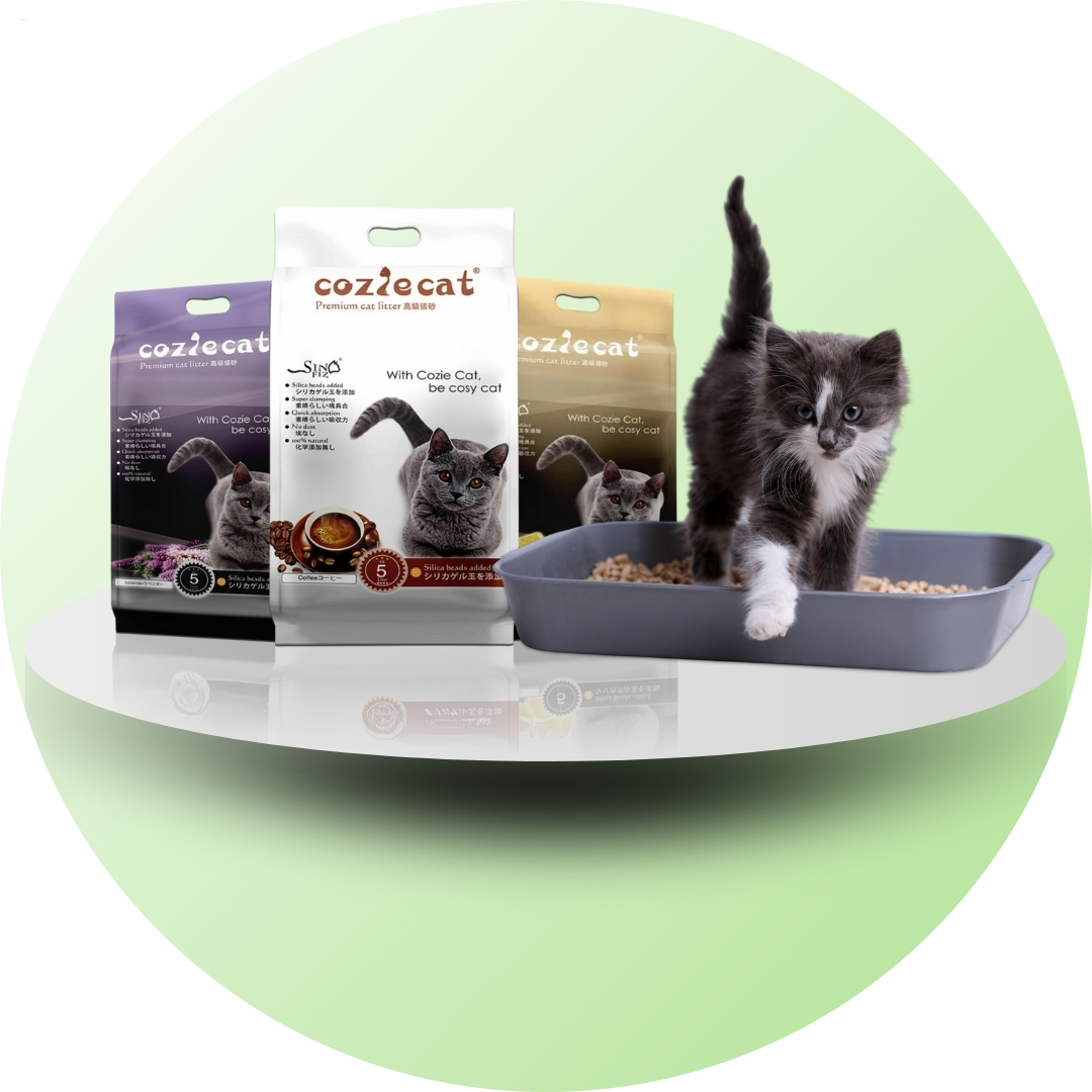 Pet Litter (পোষা প্রাণীর আবর্জনা)