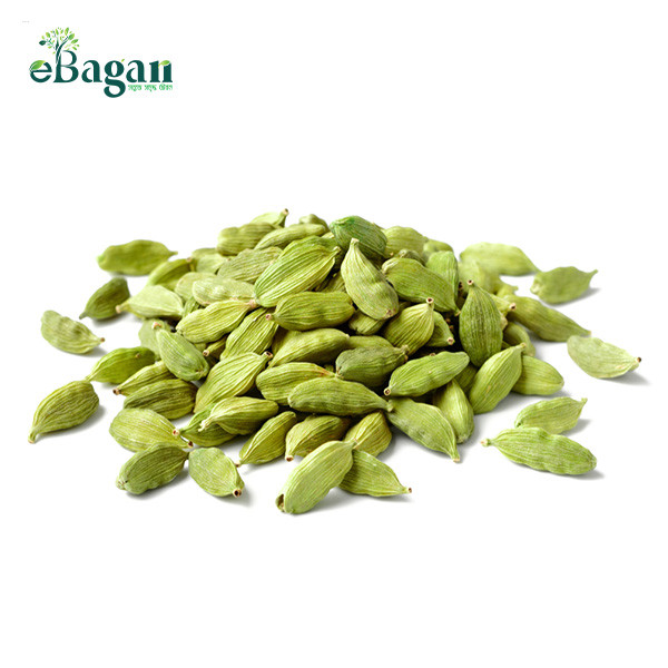 Green Cardamom (সবুজ এলাচ)