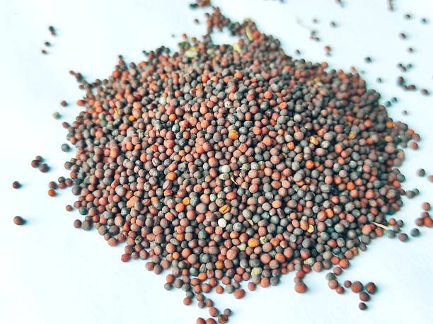 Brown Mustard Seeds