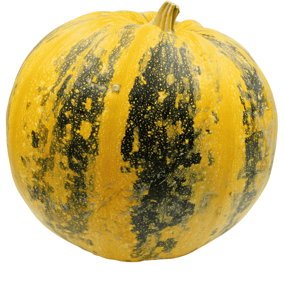 Styrian Pumpkin Seeds ( স্টাইরিয়ান কুমড়োর বীজ)