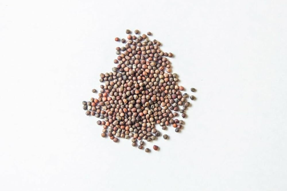 Green Cauliflower Seeds